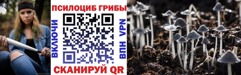 Галлюциногенные грибы ЛСД  блэк спрут зеркало  Грязовец 